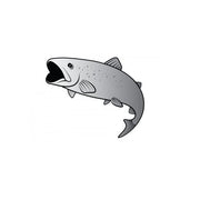 Sticker Delphin Pastrav SILVER 