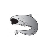 Sticker Delphin Somn SILVER 