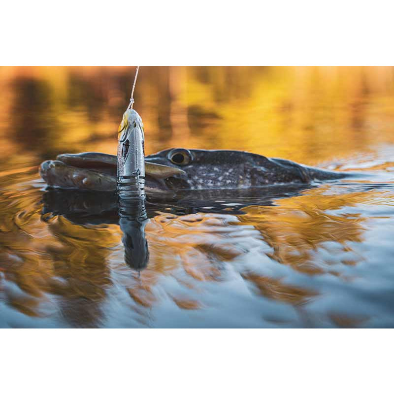 Swimbait FOX RAGE Replicant Jointed - New Colours, Silver Halo, 15cm, 60g