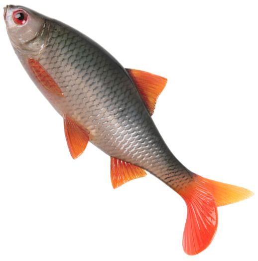 Swimbait FOX RAGE Ulta Realistic Replicant Ultra Natural Roach 1buc/pac