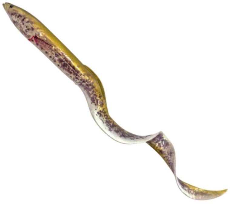 Swimbait SAVAGE GEAR Real EEL Chameleon Eel 1buc/pac