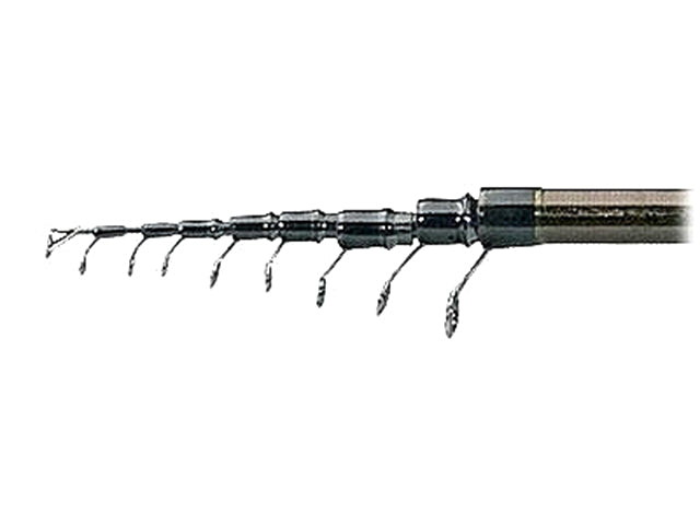 TELEMATCH JAXON GRAND VIRTUOSO NESTIA 4.20M 10-40gr