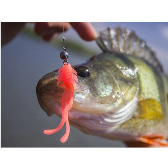 TWISTER CRAZY FISH ALLURE 2.7CM 14 SQUID