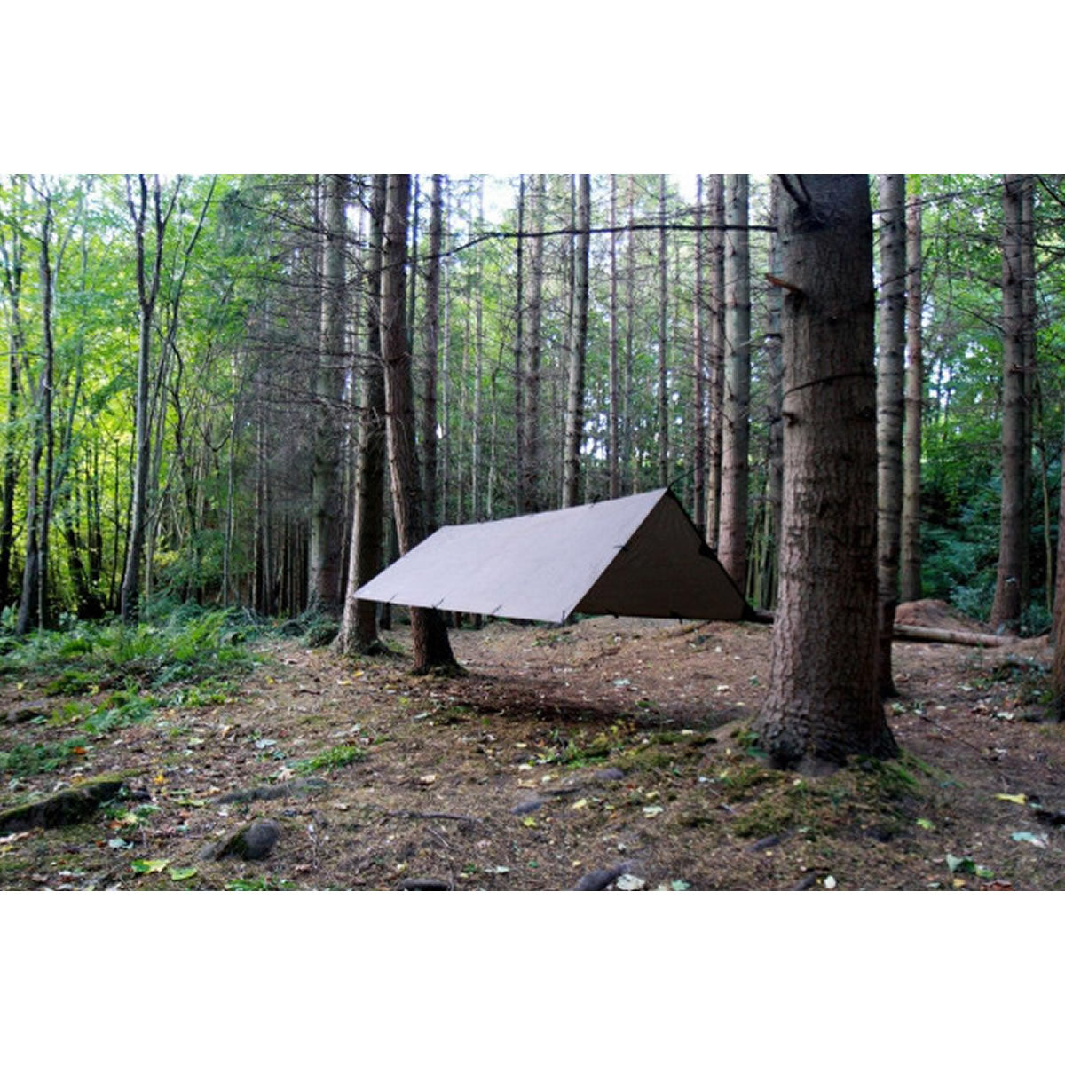 Tenda S DD Hammocks Prelata Coyote Brown,  2.8m x 1.5m