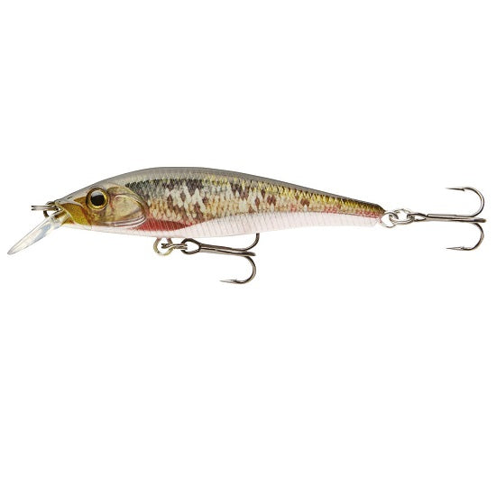 VOBLER CORMORAN SHALLOW IWASHI 6CM/5G DYING ROACH