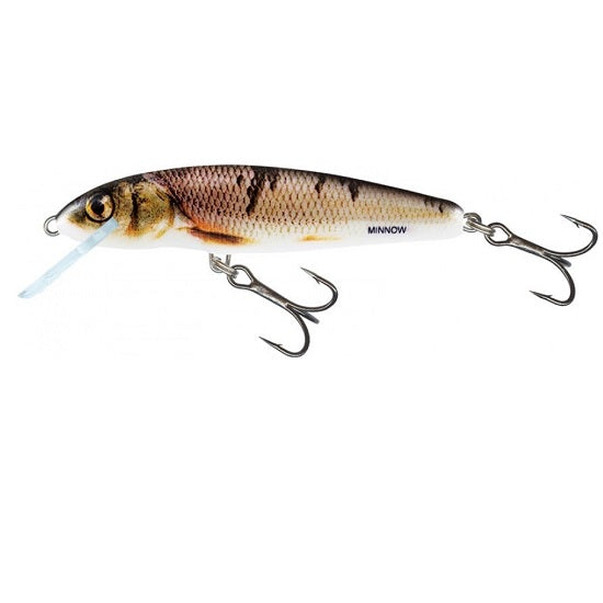VOBLER SALMO MINNOW FLOATING, WOUNDED DACE, 7CM, 6G