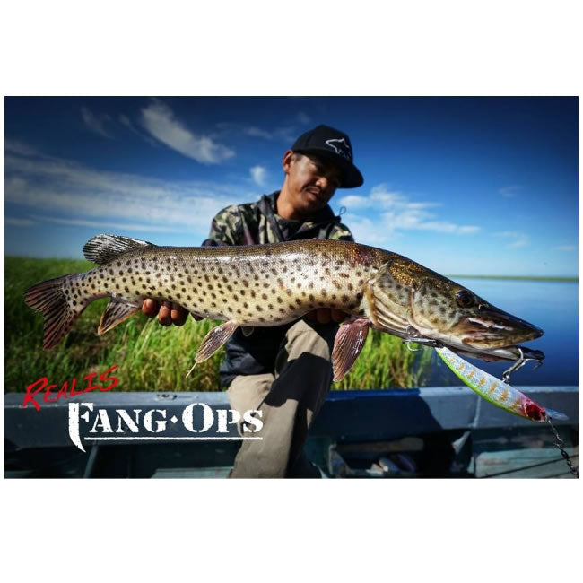 Vobler DUO Fangbait 120SR, Albino F ACC3302, 12cm, 25.8g, 1buc/pac