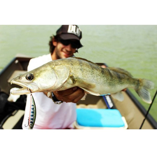 Vobler DUO Ryuki 45S 4.5cm 4g MCC4036 Metal Rainbow Trout S