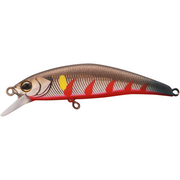 Vobler Jackall Tricoroll Ryushin Guyo Ayu Rekka 5.3cm 4.6g