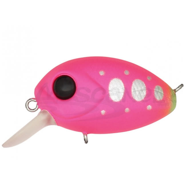 Vobler Pontoon21 Baby RedRag 32F-SR 3.2cm 4.8g R44 F