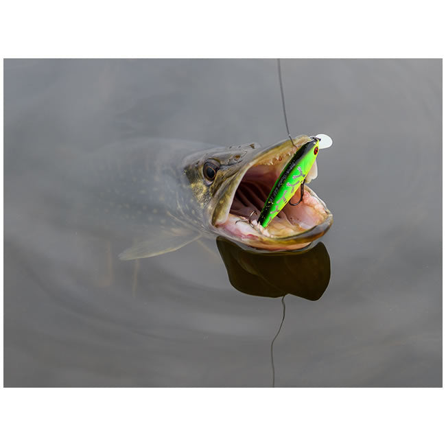 Vobler Pontoon21 Bet a Shiner 6.8cm 7.1g R37 SP SR
