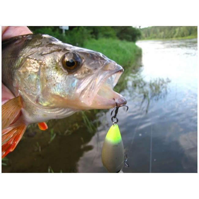 Vobler Pontoon21 Hypnose 38F-SR, Chartreuse Yamame Tiger R10 F, 3.8cm, 3.7g, 1buc/pac 