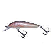 Vobler Salmo Minnow M7F RR 7cm 6g