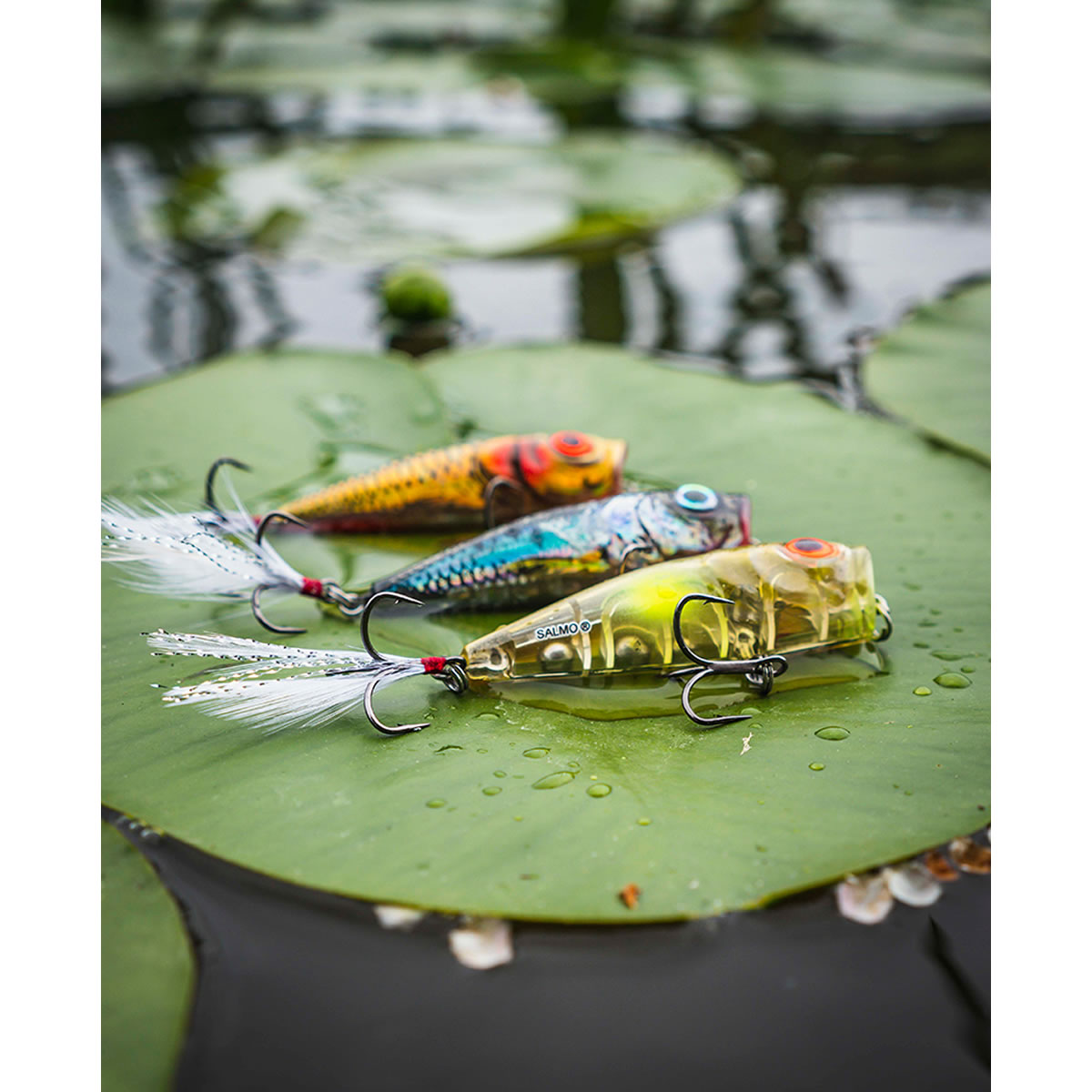 Vobler Salmo Rattlin Pop Clear Golden Prey, 7cm, 12.5g