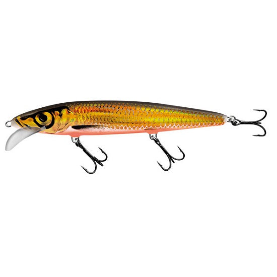 Vobler Salmo Whacky Floating GOLD CHARTREUSE SHAD QWY018