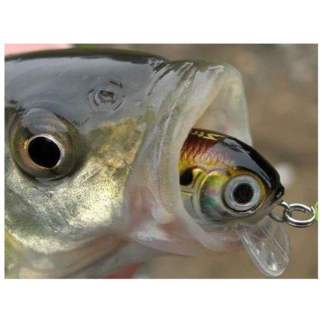 Vobler Strike Pro Baby Pro, 2.5cm, 2g 402 F