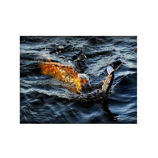 Vobler Westin Mike the Pike 14cm 30g Pike F
