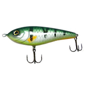Vobler glider GV Lures 100 Biban 10cm 24Gr Floating