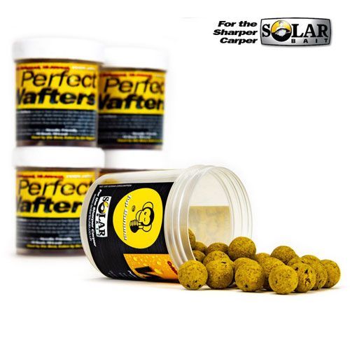 WAFTER SOLAR 16MM PINEAPPLE AND N-BUTYRIC