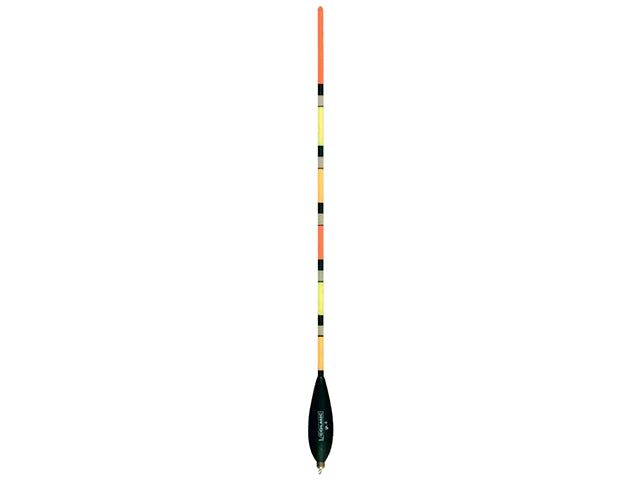 WAGLER COLMIC VICTORY MULTICOLOR GR 2+2