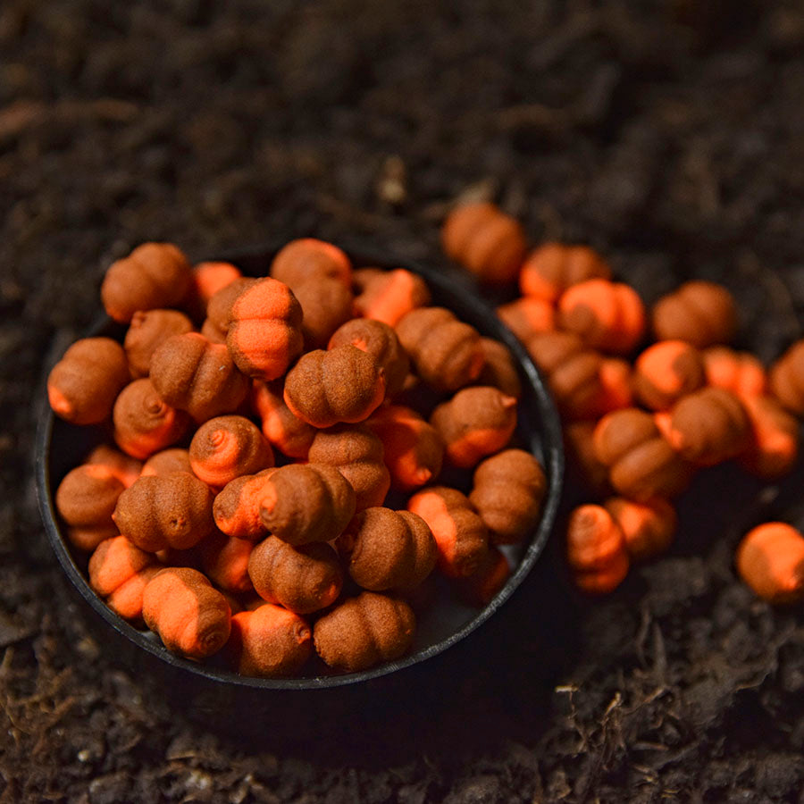 Wafters WLC Cocoon, Artar, 6mm, 30g